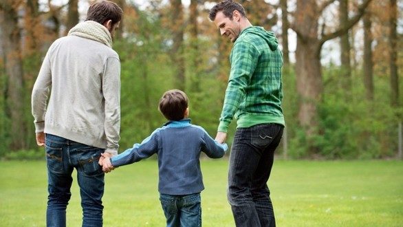 stepchild-adoption-GAY