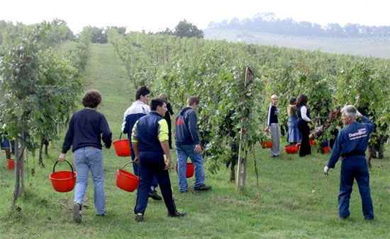 studenti agricoltura