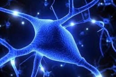 640x479xSclerosi-multipla