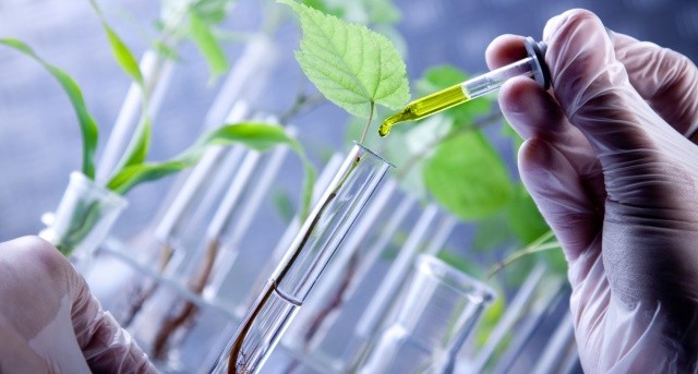 bioeconomia provetta agricoltura