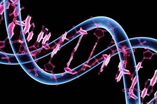 Scienziati cinesi correggono gene in embrioni umani, dubbi etici