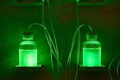 provocazione-150428162002