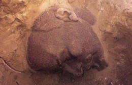 Good-morning-Lenin-testa-di-statua-spunta-in-foresta-a-Berlino-640x358