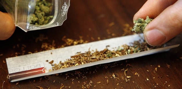 Legalizzare cannabis, iniziativa trasversale da 218 parlamentari