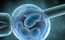 fecondazione-eterologa