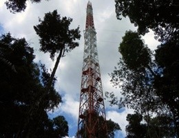 In Amazzonia una torre di 325 metri per studiare il clima