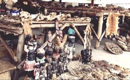 Ossa, pelli e piume: è il mercato del Voodoo in Togo