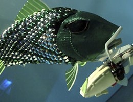 Pesci robot con stampante 3d, la cura del futuro