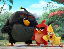 1443084044_Angry-Birds-Movie-HD-Wallpapers