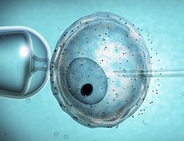 fecondazione-assistita