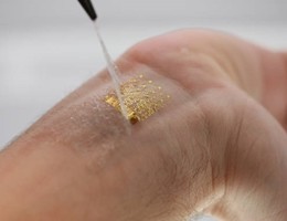 1379317487006_application