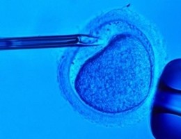 Legge 40, la Consulta: ''Non è reato selezionare gli embrioni''