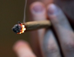 Triplo rischio erezione per i giovani che fumano marijuana