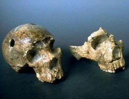 E’ più antica la presenza a Roma dell’uomo di Neanderthal