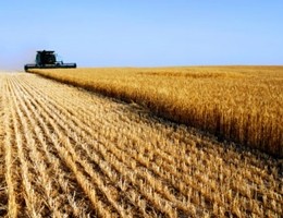 Con agricoltura intensiva entro 2050 si perderà 40% dei terreni