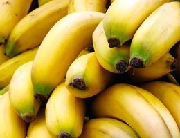 Banane, fungo killer minaccia la sopravvivenza del frutto