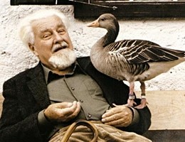 konrad-lorenz01