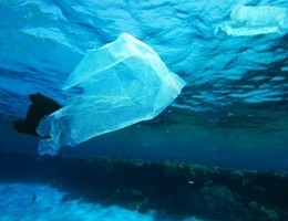Allarme ambiente, nel 2050 più plastica che pesci negli oceani