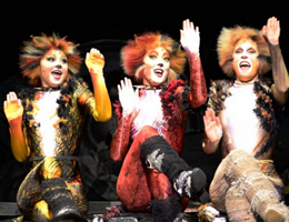 Cats-The-Musical-598x350