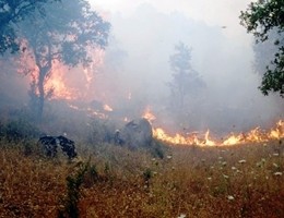 Incendio-sterpaglie fuoco