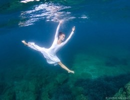 a195502860-4c7c33f2-78c3-4c98-a505-8224012344eb