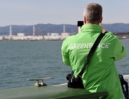 fukushima greenpeace