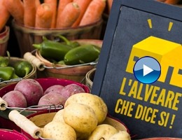 alveare prodotti bio