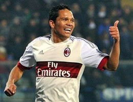 bacca