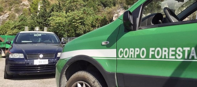 carabinieri-corpo-forestale-768x600