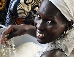 abbiamo riso campagna