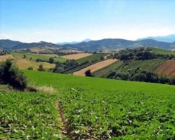 agricoltura terreno campagna