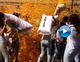 flash mob angry birds