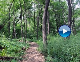 Apre dopo 80 anni la riserva naturale segreta dentro Central Park