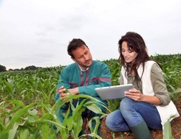 agricoltura lavoro giovani