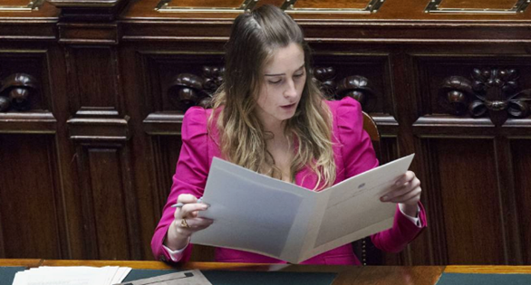 boschi