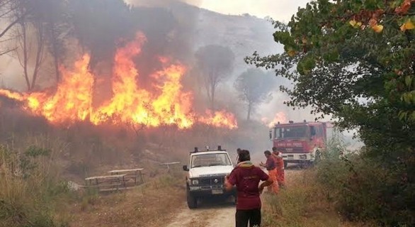 vigili-del-fuoco-monte-trocchio-cervaro-669x445