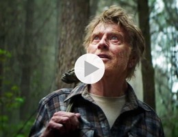 elliott-il-drago-invisibile-pete-s-dragon-screenshot-12