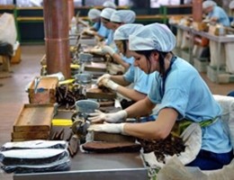 industria stabilimento lavoro