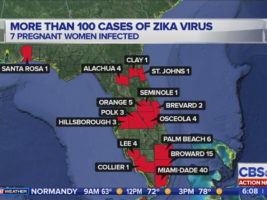 Gov__Scott__Treat_Zika_virus_like_a_hurr_0_4221676_ver1.0_1280_720