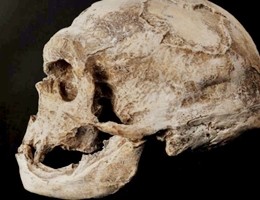 Scoperto alle isole Andamane un nuovo antenato dell'uomo