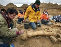 Scienziati, mammut estinti 5.600 anni fa morirono di sete