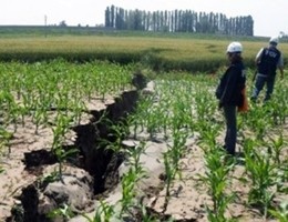 Terremoto, l'agricoltura in ginocchio, danni ad allevamenti