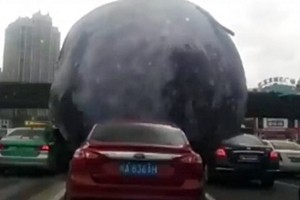 Cina, il tifone spinge una "luna gigante" sulle auto a Fuzhou