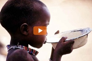 Nigeria, migliaia di bambini muoiono di fame per la guerra civile
