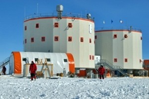 Artico, scienziati assediati da orsi polari dentro stazione meteo