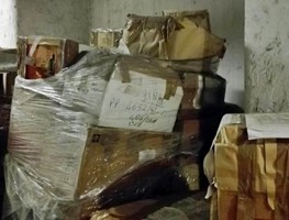 Scarafaggi e degrado nei sotterranei del Tribunale di Milano