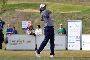 lo-svedese-johan-edfors