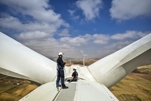 Green economy, Italia a sorpresa prima in Europa. Male invece per il consumo del suolo