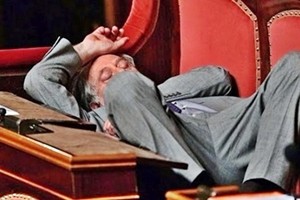 onorevole-senato-parlamento