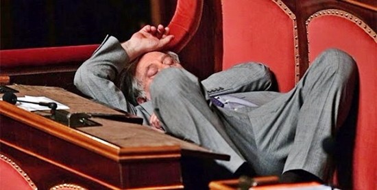 onorevole-senato-parlamento